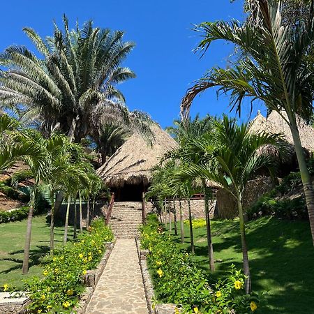 Zirwa Hotel Boutique - Dentro Del Parque Tayrona 엘 자이노 외부 사진