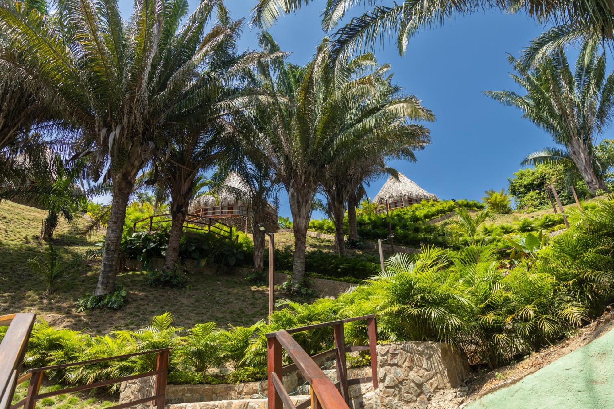 Zirwa Hotel Boutique - Dentro Del Parque Tayrona 엘 자이노 외부 사진